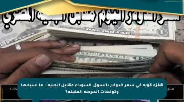 قفزة قوية في سعر الدولار بالسوق السوداء مقابل الجنيه.. ما أسبابها وتوقعات المرحلة المقبلة؟